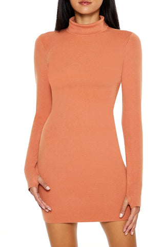 Turtleneck Mini Sweater Dress