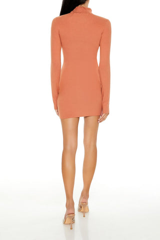 Turtleneck Mini Sweater Dress