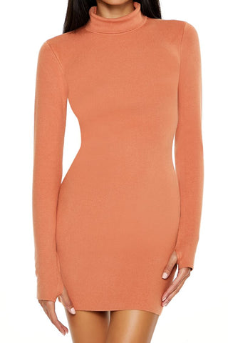 Turtleneck Mini Sweater Dress