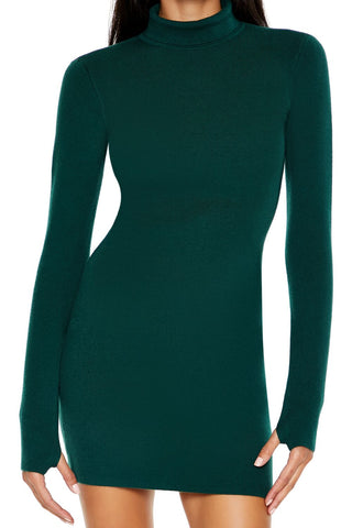 Turtleneck Mini Sweater Dress