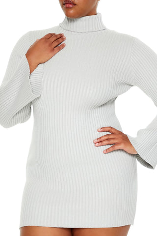 Plus Size Turtleneck Mini Sweater Dress