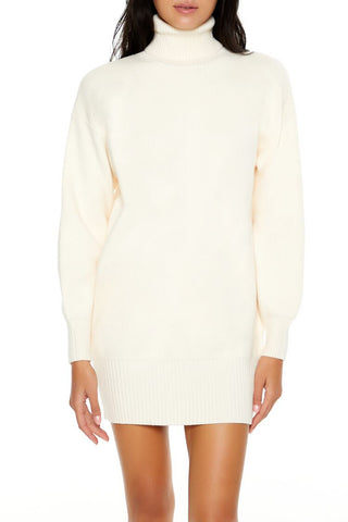 Turtleneck Mini Sweater Dress