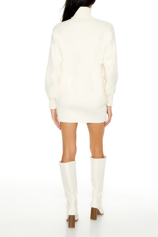 Turtleneck Mini Sweater Dress