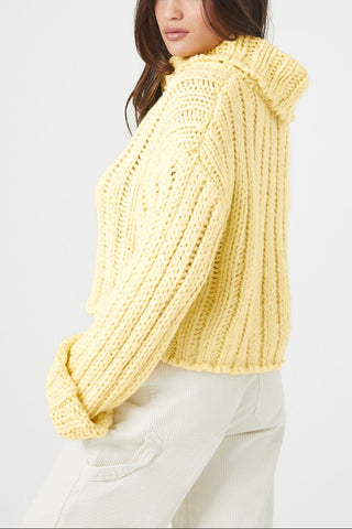 Turtleneck Cropped Sweater