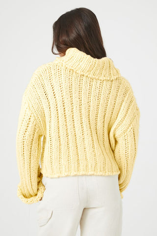 Turtleneck Cropped Sweater