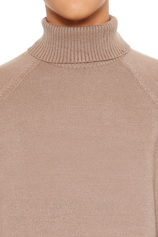 Raglan Turtleneck Sweater