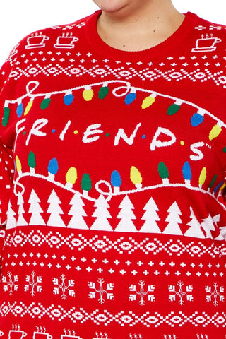Plus Size Friends Fair Isle Sweater