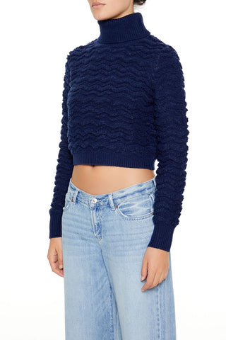 Turtleneck Cropped Sweater