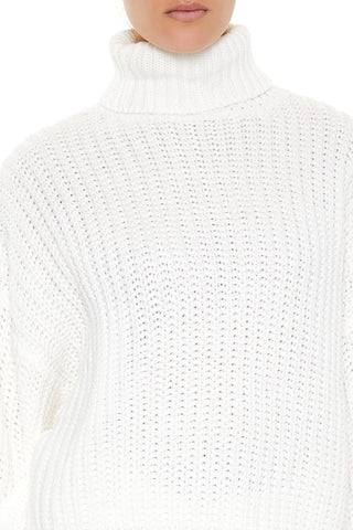 Turtleneck Knit Sweater