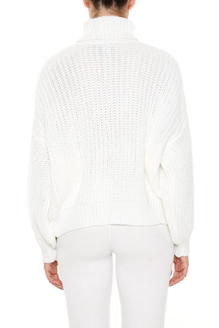 Turtleneck Knit Sweater