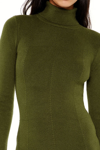 Turtleneck Midi Sweater Dress