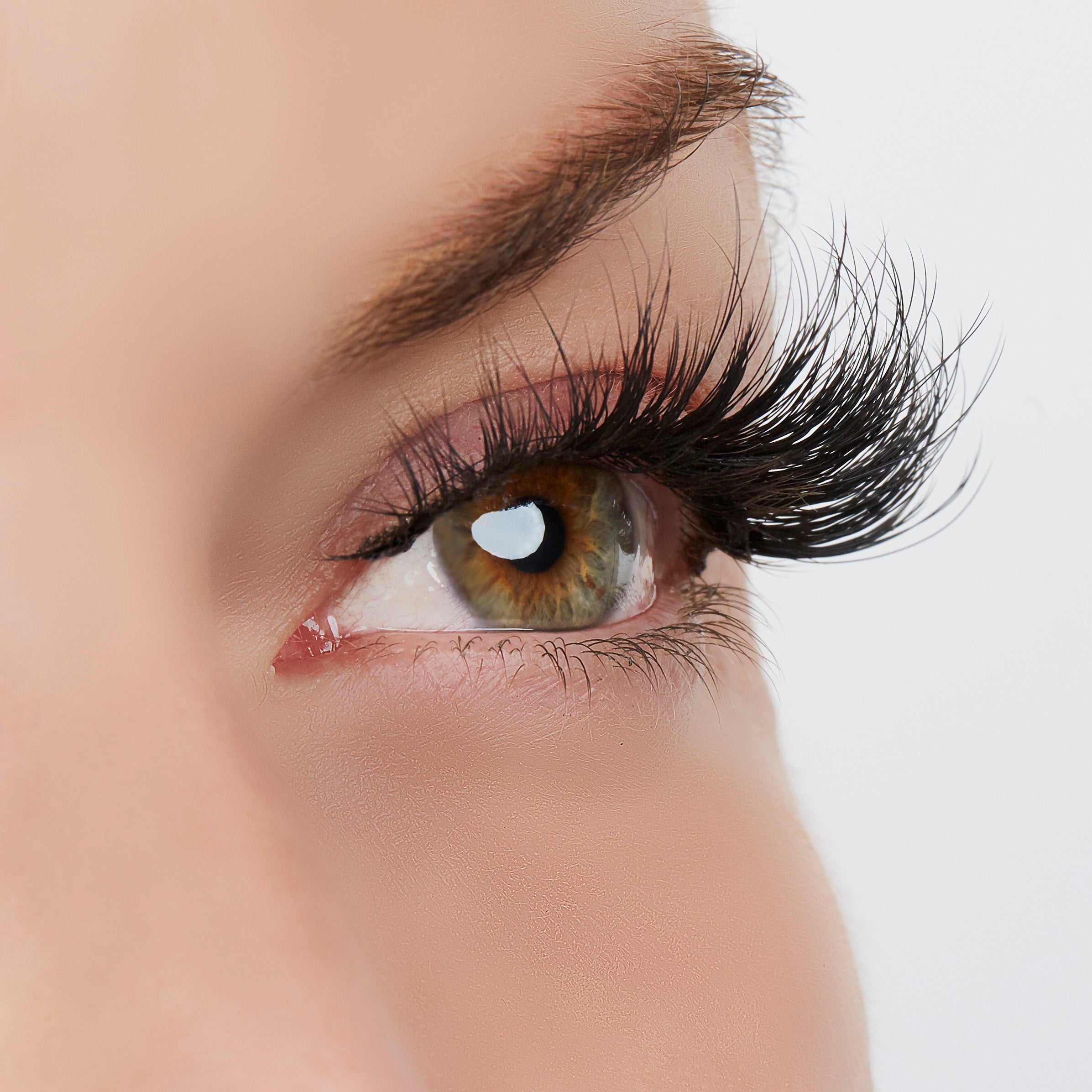  True Beauty Lashes Light up the Room Lash Style by True Beauty Lashes - Default Title - Bonton