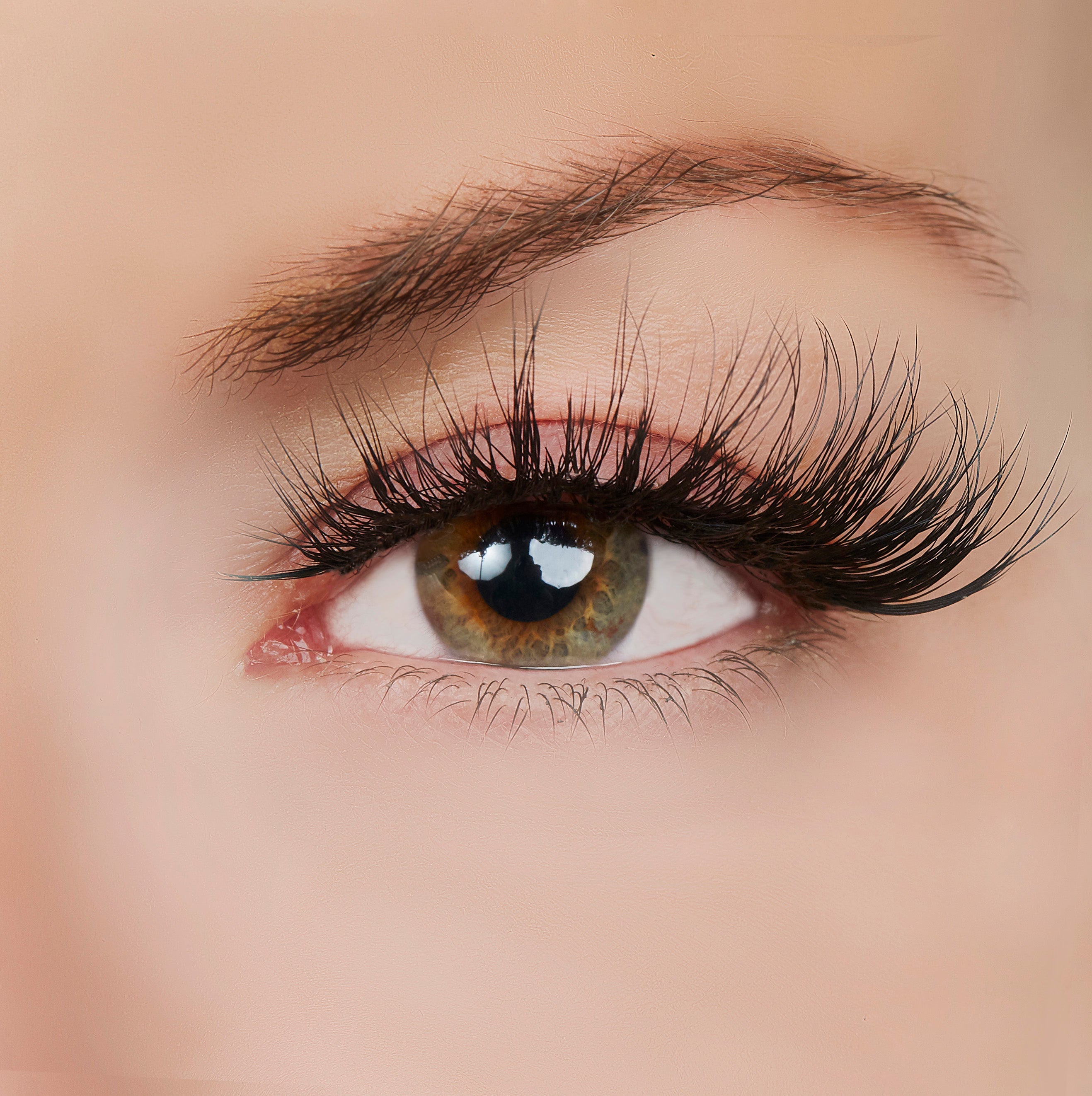  True Beauty Lashes Light up the Room Lash Style by True Beauty Lashes - Default Title - Bonton