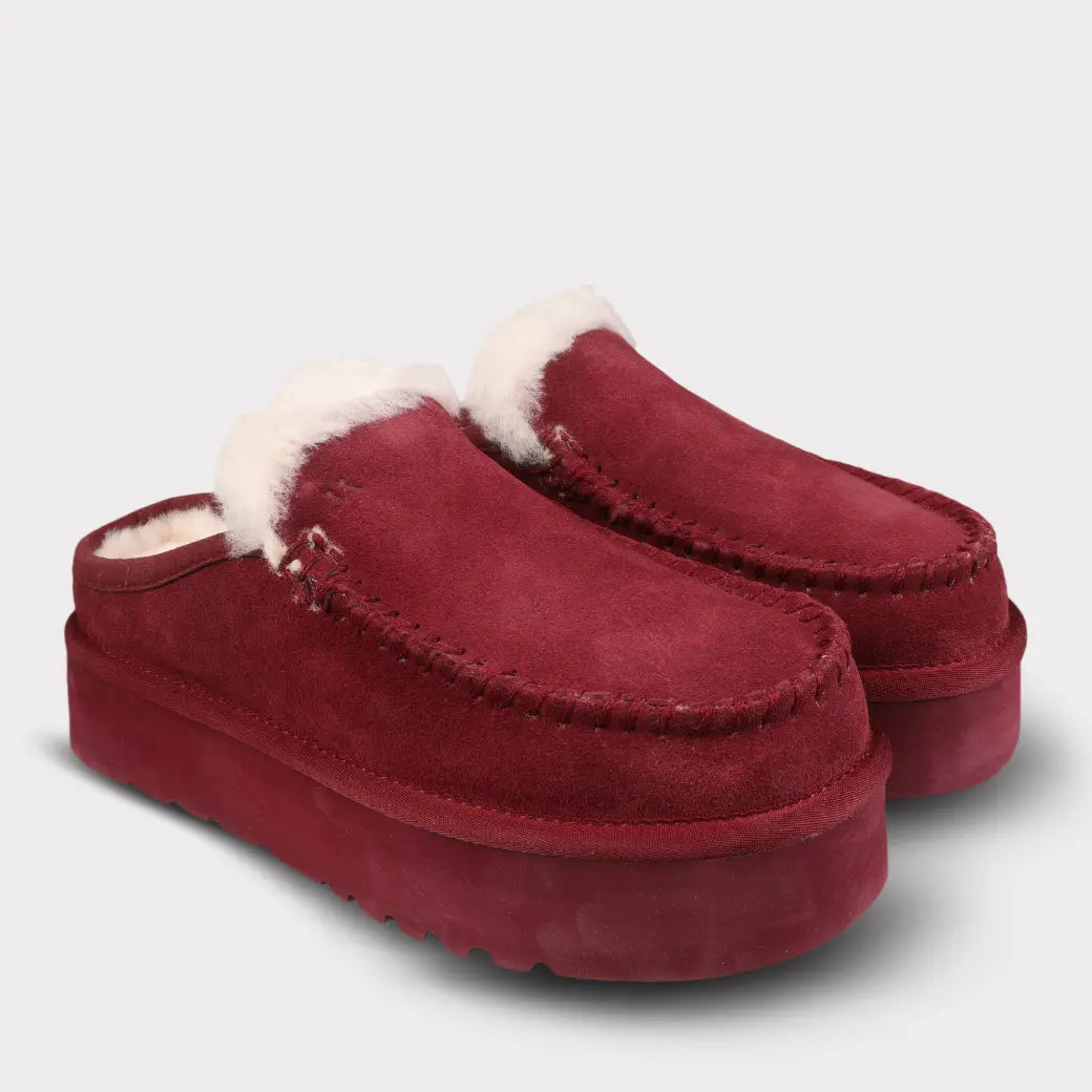  Mykos Cassie Women's Slip-on Platform Slipper - Wine - Bonton