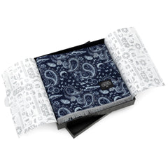 Vader Paisley Blue and Gray Scarf