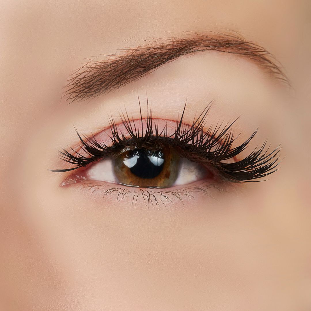  True Beauty Lashes Role Model Lash Style by True Beauty Lashes - Standard (apply with Lash Adhesive) - Bonton