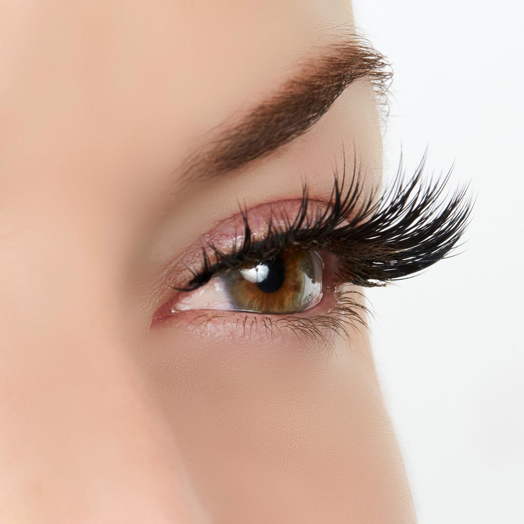  True Beauty Lashes Role Model Lash Style by True Beauty Lashes - Standard (apply with Lash Adhesive) - Bonton