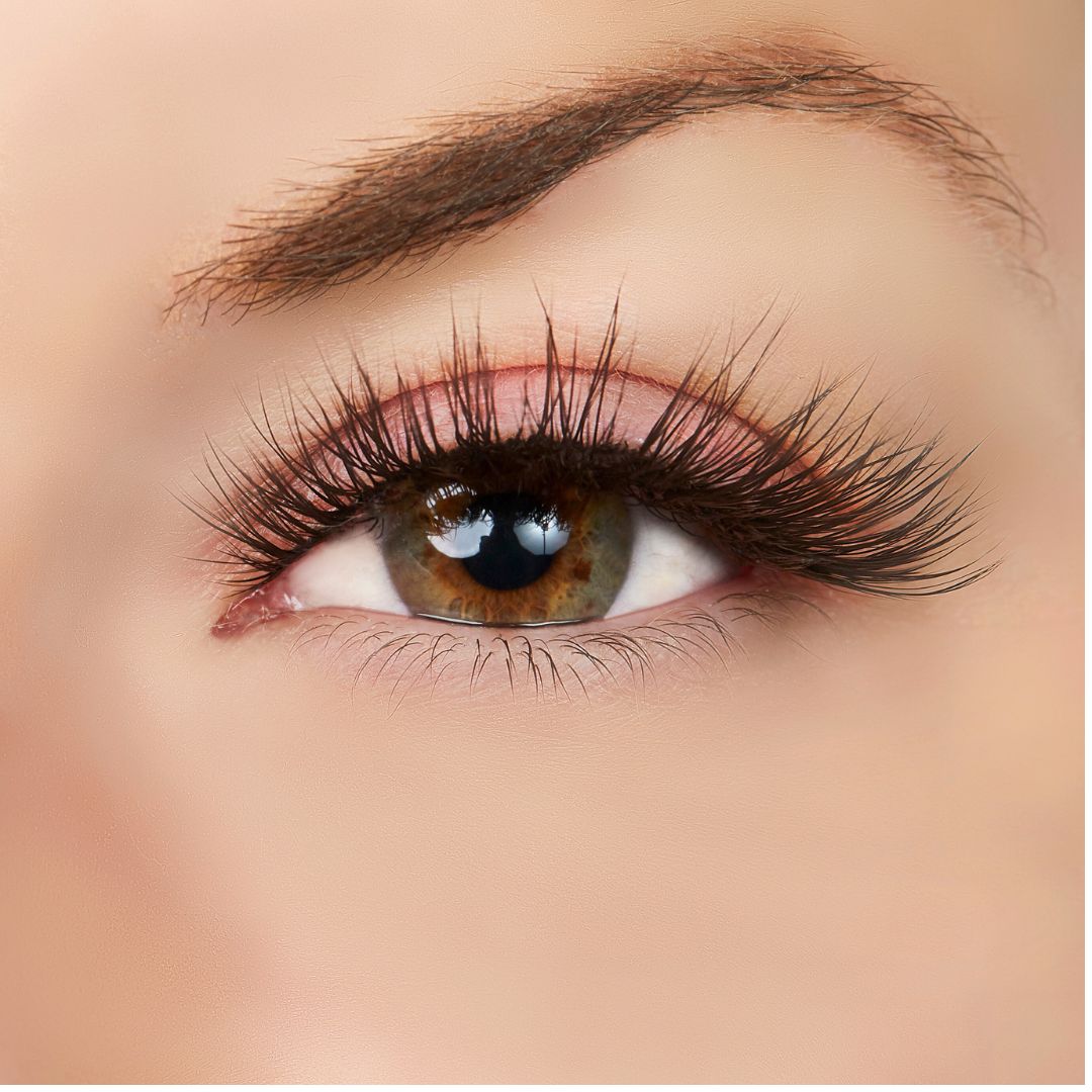  True Beauty Lashes Sparkle in Her Eyes Lash Style by True Beauty Lashes - Standard (apply with Lash Adhesive) - Bonton