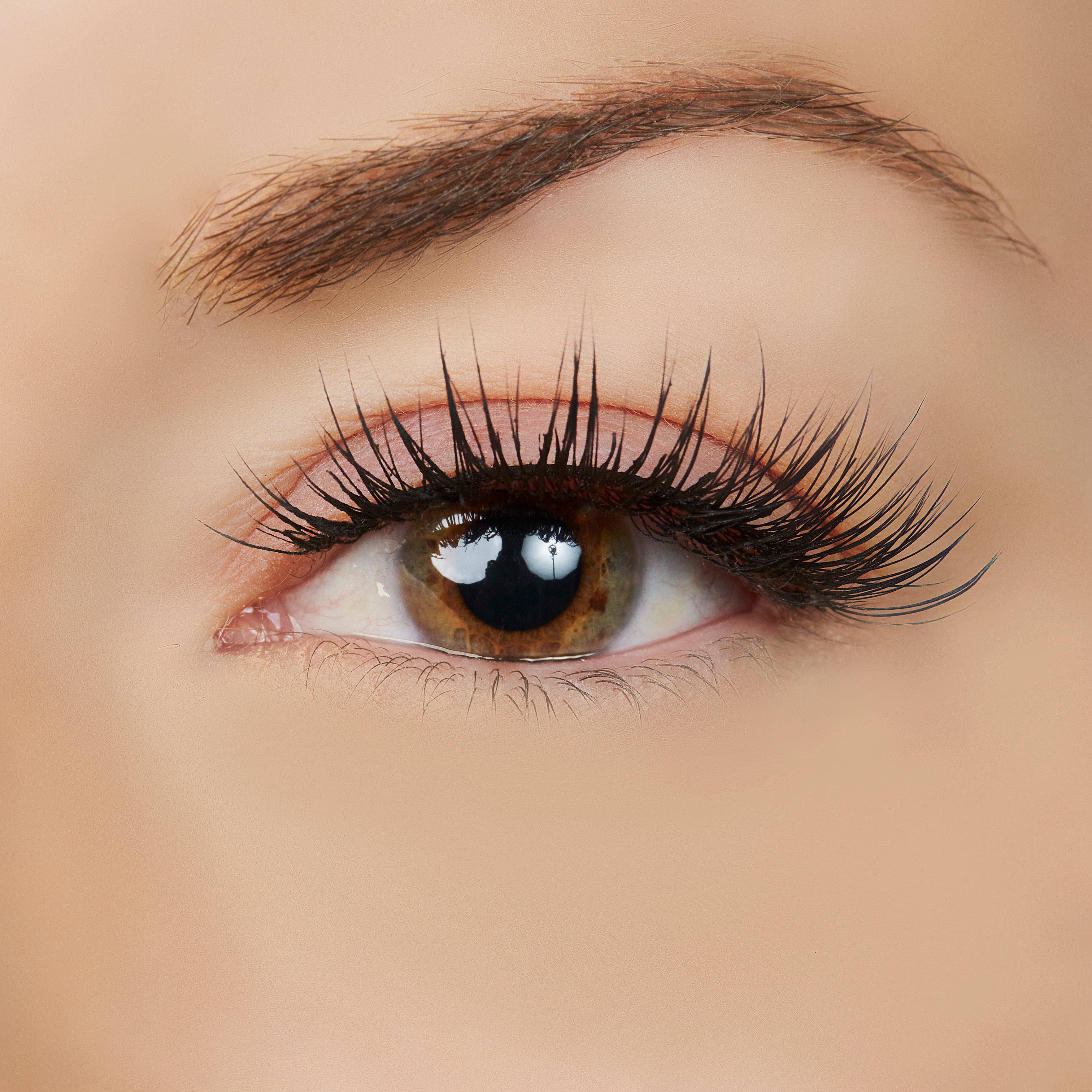  True Beauty Lashes Perfect Vision Lash Style by True Beauty Lashes - Standard (apply with Lash Adhesive) - Bonton