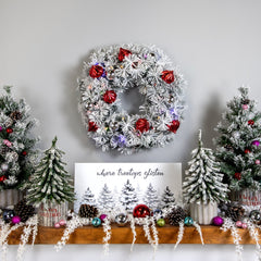 Pre-Lit Battery Operated Snowy Bristle Pine Christmas Wreath - 24" - Dual Color LED Lights