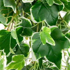 30" Variegated Ivy Artificial Hanging Floral Bush