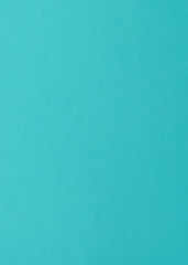 Aqua 15" Skort