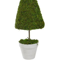 21" Green and White Reindeer Moss Potted Artificial Spring Floral Topiary Tree