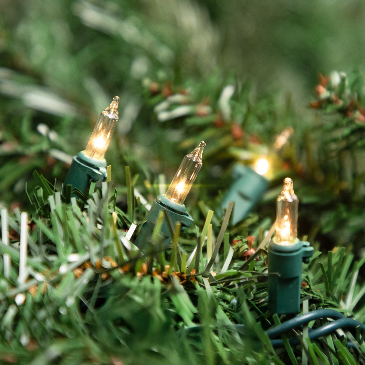  Northlight 100-Count Clear Mini Christmas Light Set  20.25ft Green Wire - Default Title - Bonton