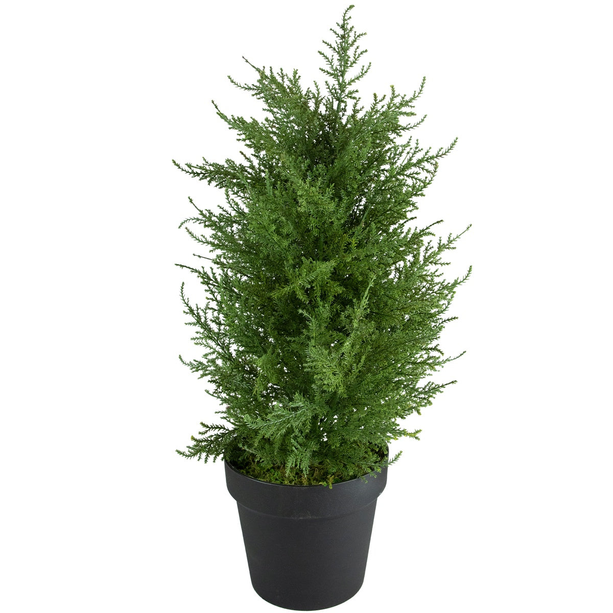  Northlight Real Touch™ Artificial Cedar Pine Petite Arborvitae Tree in Round Pot - 2' - Unlit - 2' - Bonton