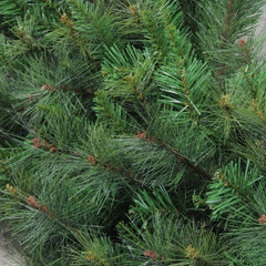 Real Touch™? Canyon Mixed Pine Artificial Christmas Wreath - 60" - Unlit