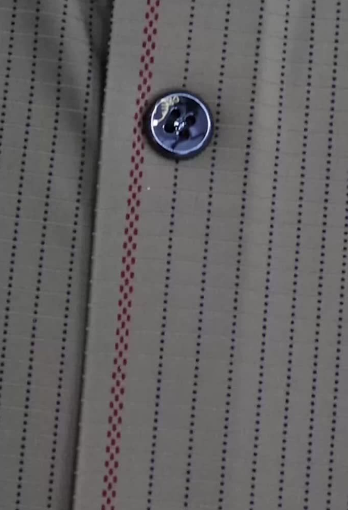  Barocco Fearless Finesse Short-Sleeve Shirt KHAKI - KHAKI - Bonton