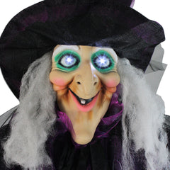 Lighted and Animated Witch Halloween Figure Decoration - 5.5' - Cool White Lights