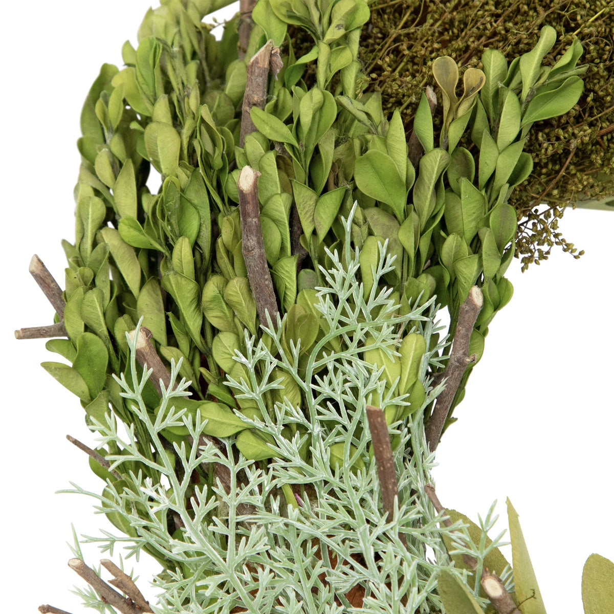  Northlight Cedar  Succulent and Day Grass Artificial Spring Wreath  Green -14-Inch - Default Title - Bonton