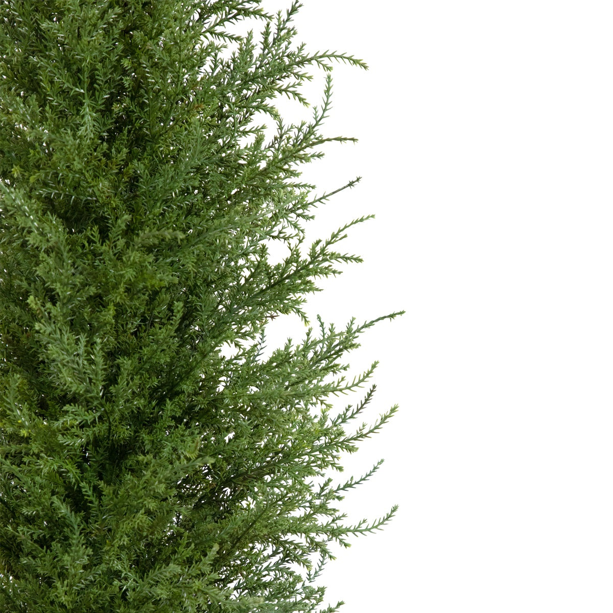  Northlight 3' Artificial Cedar Pine Petite Arborvitae Tree in Round Pot  Unlit - Default Title - Bonton