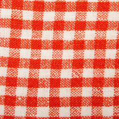 Two-Tone Gingham Napkins, Set of 4