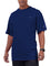 Champion Big And Tall Men's 100% Cotton Teeshirt