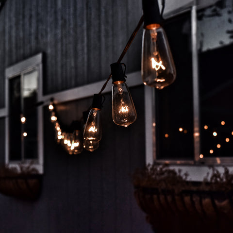 10-Count Clear Edison Glass Patio Lights  9ft Green Wire