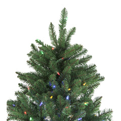 9' Pre-Lit Instant Connect Neola Fraser Fir Artificial Christmas Tree - Dual LED Lights