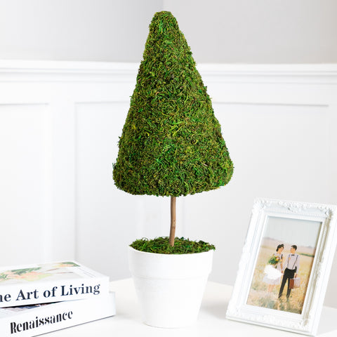 21" Green and White Reindeer Moss Potted Artificial Spring Floral Topiary Tree