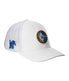 White / University Of Memphis Logo Swatch