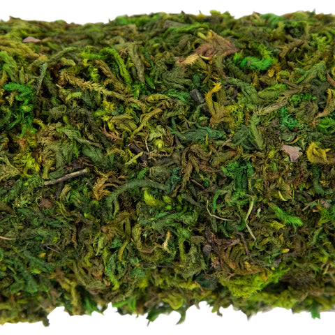 Artificial Reindeer Moss Square Spring Wreath - 13"