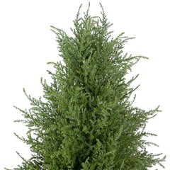 Real Touch™ Artificial Cedar Pine Arborvitae Tree in Urn Style Pot  Unlit - 5'