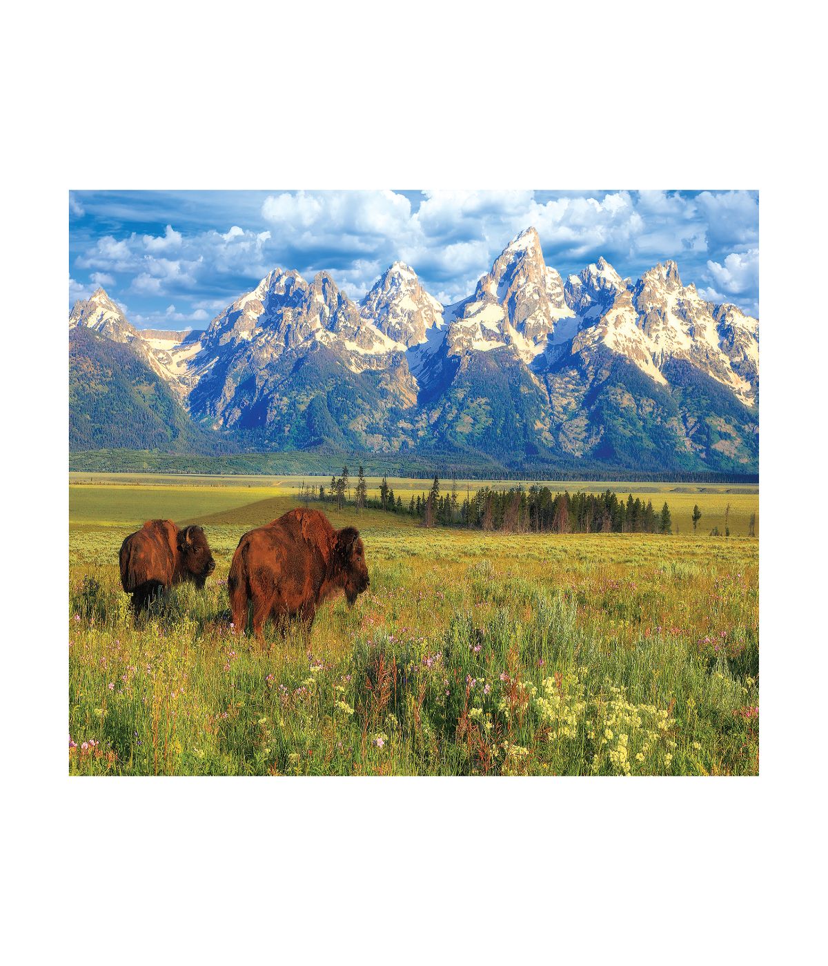  Steve Hinch - Grand Teton National Park, Wyoming, USA: 1000 Pcs Multi - Multi - Bonton