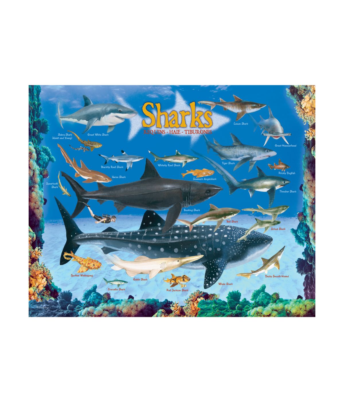  Smart Kids Collection - Sharks: 100 Pcs Multi - Multi - Bonton