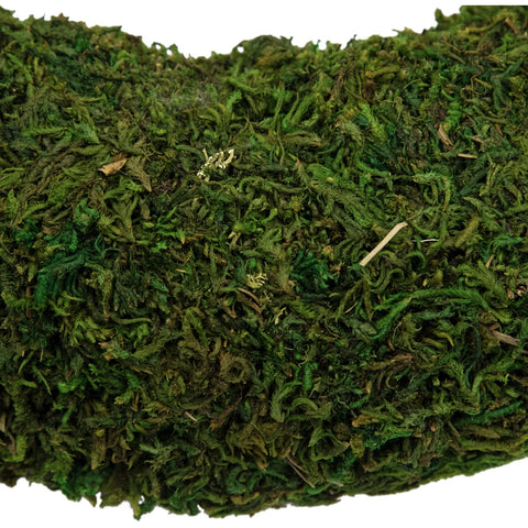 13.7" Reindeer Moss Artificial Floral Spring Wreath - Unlit