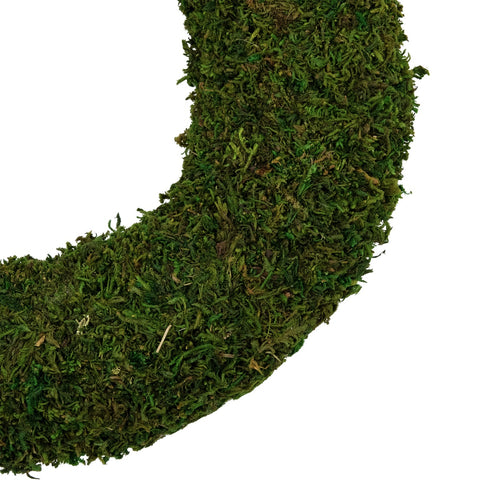 13.7" Reindeer Moss Artificial Floral Spring Wreath - Unlit