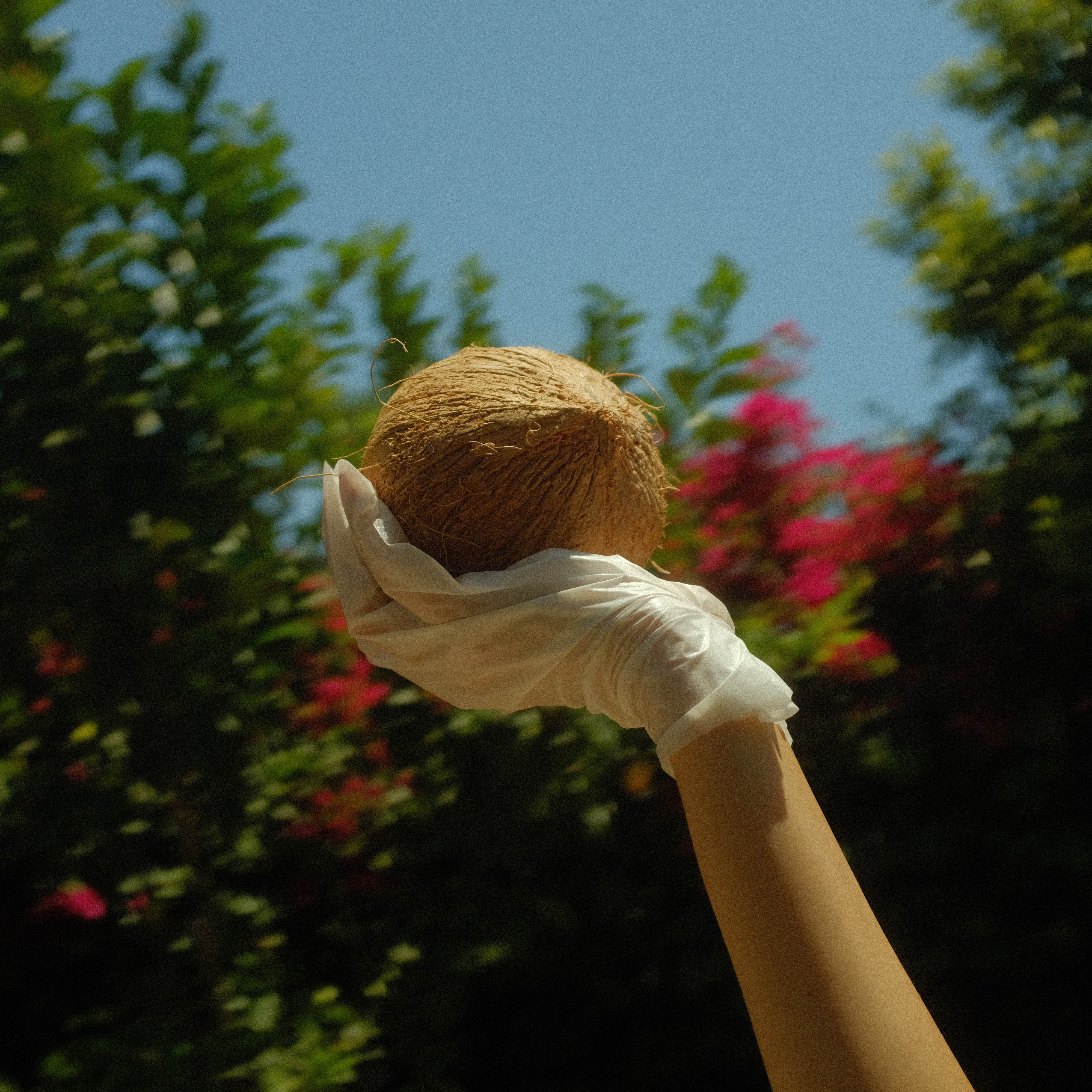  LAPCOS Lapcos Coconut Milk Hand Mask by LAPCOS - Single - Bonton