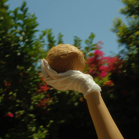 Lapcos Coconut Milk Hand Mask by LAPCOS