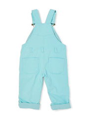 Classic Summer Denim Overalls