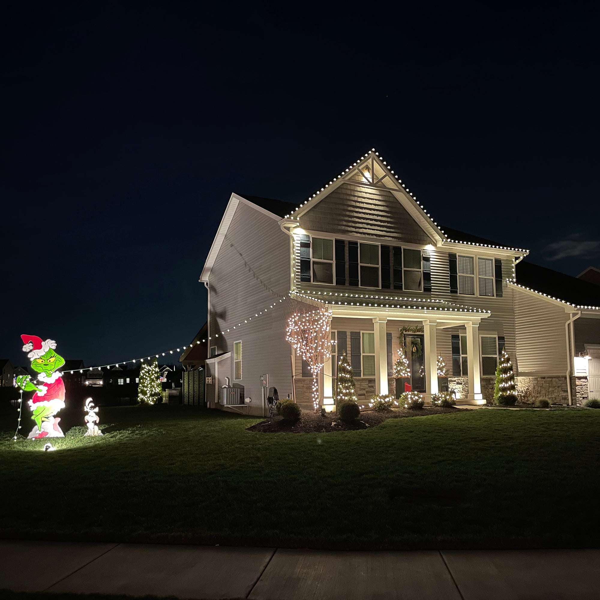  Northlight 100-Count Clear Mini Christmas Light Set  20.25ft Green Wire - Default Title - Bonton